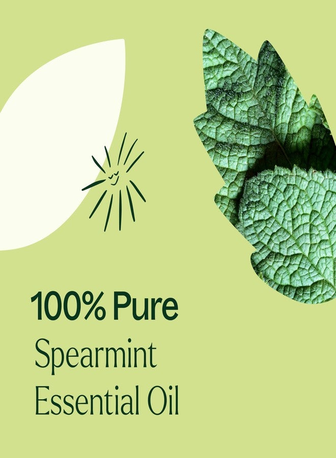 Plant Therapy Spearmint Essential Oil 30 mL (1 oz) 100% Pure, Undiluted, Therapeutic Grade - Image 5